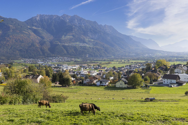 Blick über die Gemeinde Eschen nach Nendeln