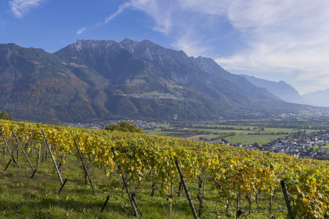 Blick über Weinberg nach Eschen und Nendeln