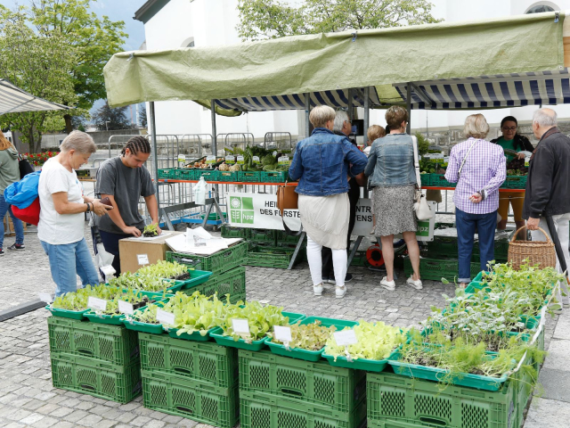 Bauernmarkt Juni