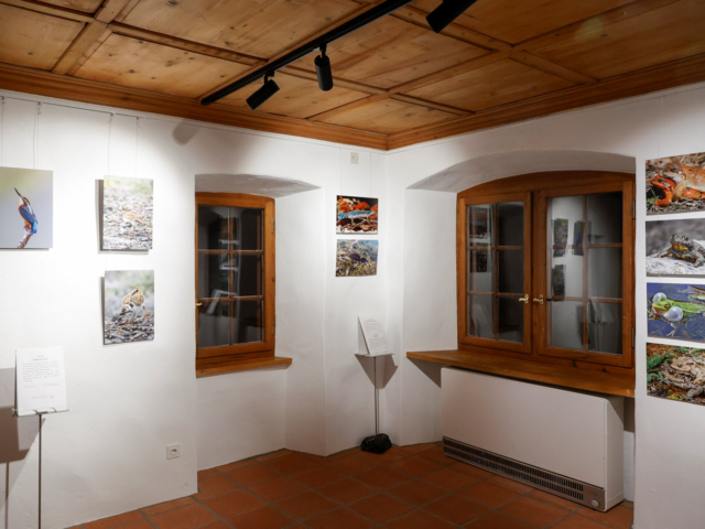 Ausstellung Rainer und Jürgen Kühnis