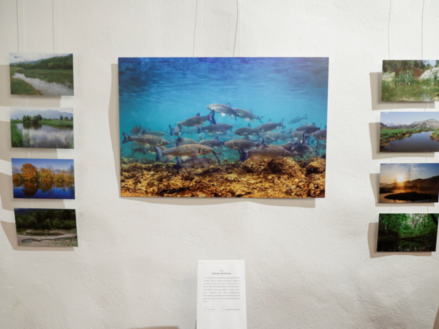 Ausstellung Rainer und Jürgen Kühnis