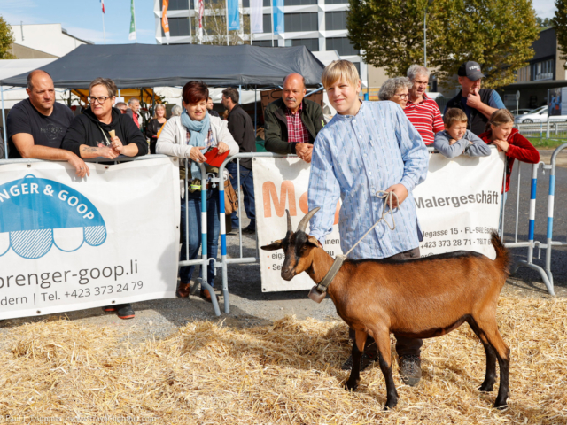 brememarkt, eschen, liechtenstein. 14.10.2023. foto: ©paul j. trummer