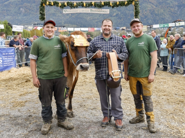 Prämienmarkt 2024