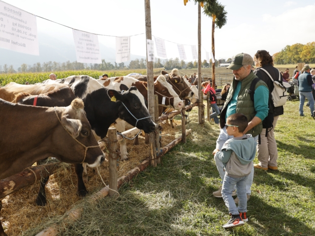 eschen, liechtenstein.